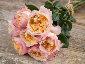ROSE D. AUSTIN EDITH 50